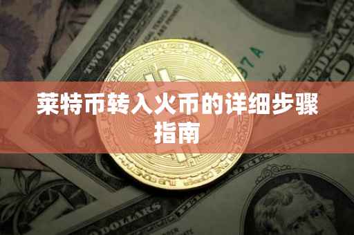 莱特币转入火币的详细步骤指南
