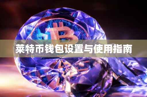 莱特币钱包设置与使用指南