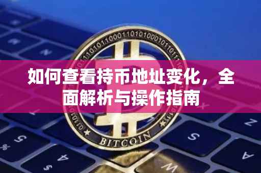 如何查看持币地址变化，全面解析与操作指南
