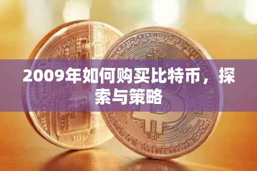 2009年如何购买比特币，探索与策略