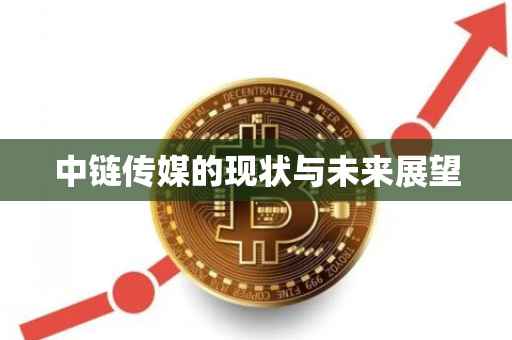 中链传媒的现状与未来展望