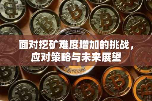 面对挖矿难度增加的挑战，应对策略与未来展望
