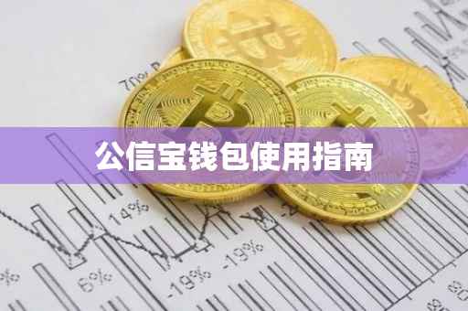 公信宝钱包使用指南