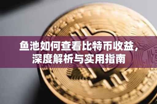 鱼池如何查看比特币收益，深度解析与实用指南