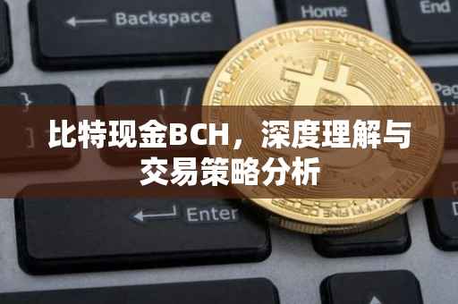 比特现金BCH，深度理解与交易策略分析