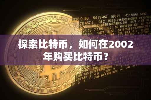 探索比特币，如何在2002年购买比特币？