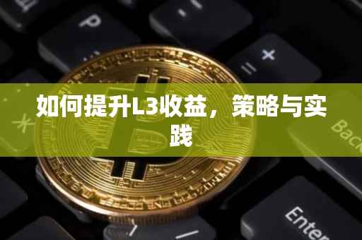 如何提升L3收益，策略与实践