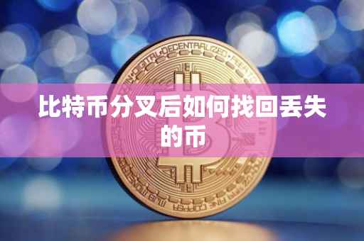 比特币分叉后如何找回丢失的币