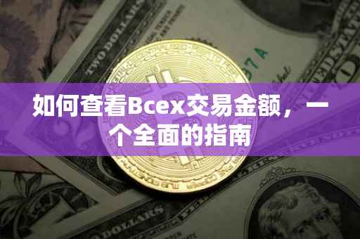 如何查看Bcex交易金额，一个全面的指南