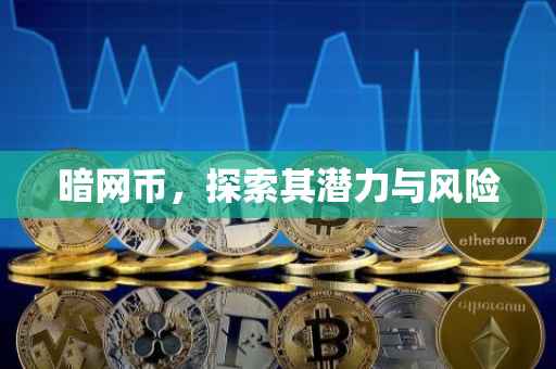 暗网币，探索其潜力与风险