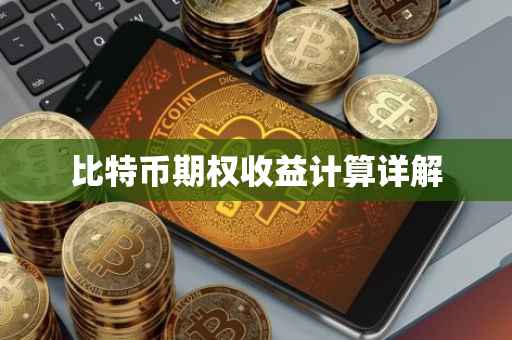 比特币期权收益计算详解