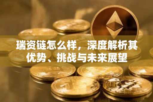 瑞资链怎么样，深度解析其优势、挑战与未来展望