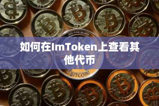 如何在ImToken上查看其他代币