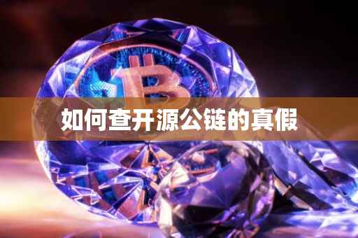 如何查开源公链的真假