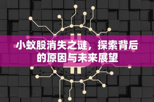 小蚁股消失之谜，探索背后的原因与未来展望