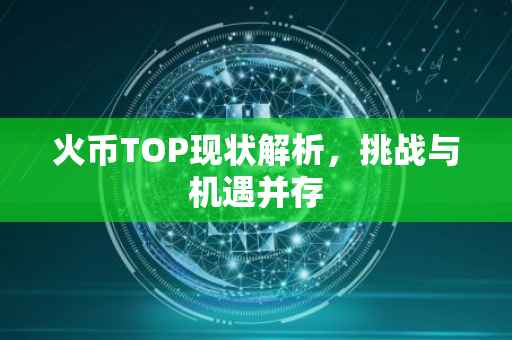 火币TOP现状解析，挑战与机遇并存