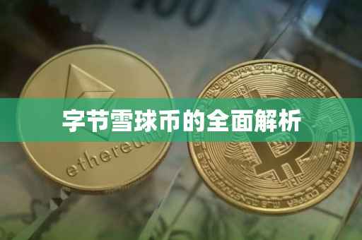 字节雪球币的全面解析