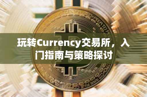 玩转Currency交易所，入门指南与策略探讨