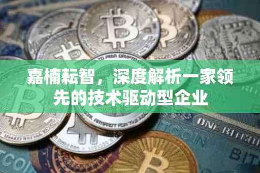 嘉楠耘智，深度解析一家领先的技术驱动型企业
