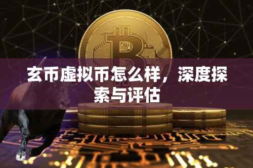 玄币虚拟币怎么样，深度探索与评估