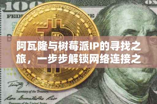 阿瓦隆与树莓派IP的寻找之旅，一步步解锁网络连接之谜