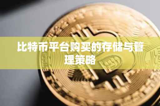 比特币平台购买的存储与管理策略