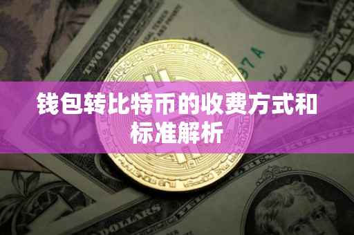 钱包转比特币的收费方式和标准解析