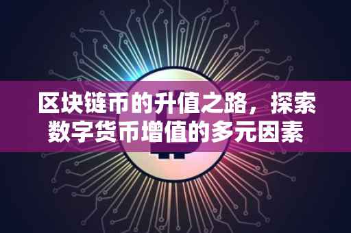 区块链币的升值之路，探索数字货币增值的多元因素
