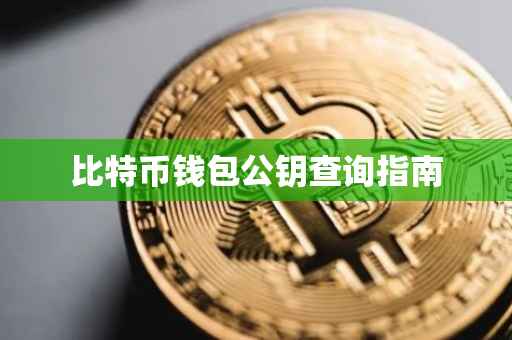 比特币钱包公钥查询指南