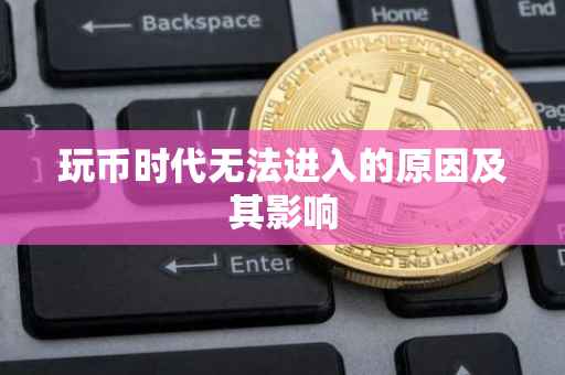 玩币时代无法进入的原因及其影响