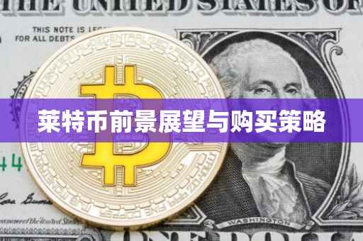 莱特币前景展望与购买策略