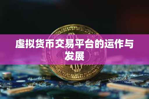 虚拟货币交易平台的运作与发展
