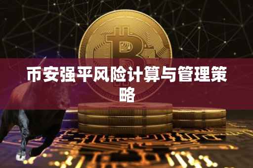 币安强平风险计算与管理策略