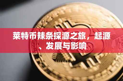 莱特币辣条探源之旅，起源、发展与影响