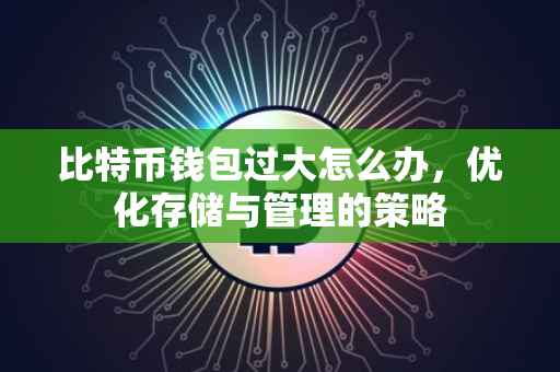比特币钱包过大怎么办，优化存储与管理的策略