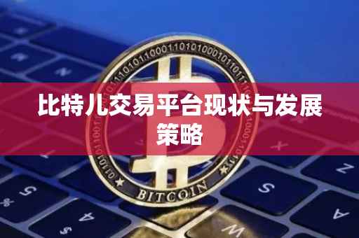 比特儿交易平台现状与发展策略