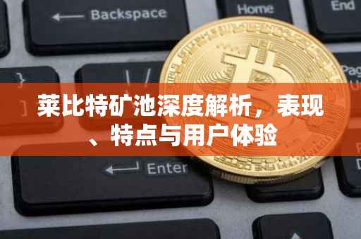 莱比特矿池深度解析，表现、特点与用户体验