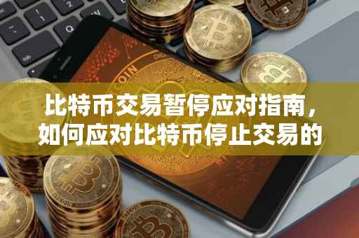 比特币交易暂停应对指南，如何应对比特币停止交易的情况