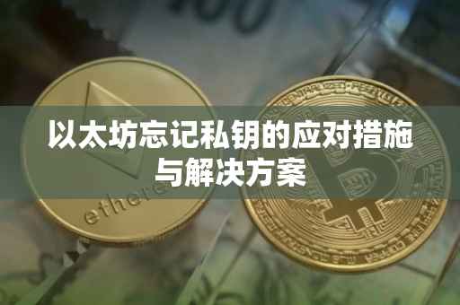 以太坊忘记私钥的应对措施与解决方案