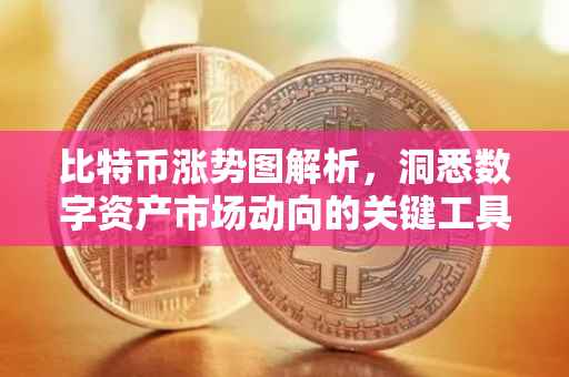 比特币涨势图解析，洞悉数字资产市场动向的关键工具