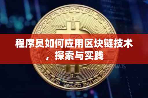 程序员如何应用区块链技术，探索与实践