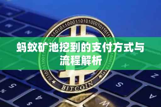蚂蚁矿池挖到的支付方式与流程解析