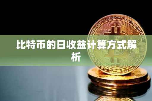 比特币的日收益计算方式解析