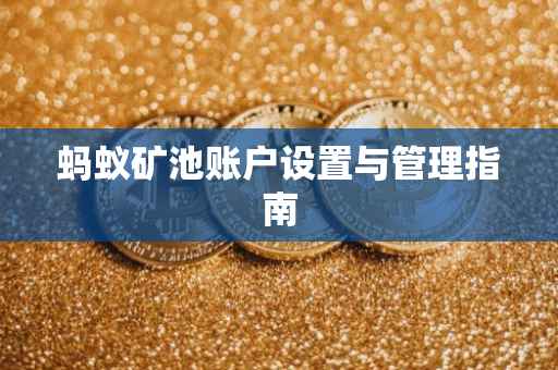 蚂蚁矿池账户设置与管理指南
