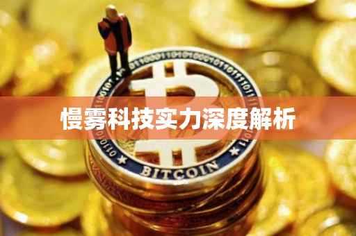 慢雾科技实力深度解析