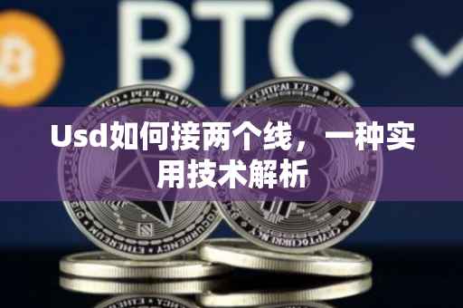Usd如何接两个线，一种实用技术解析