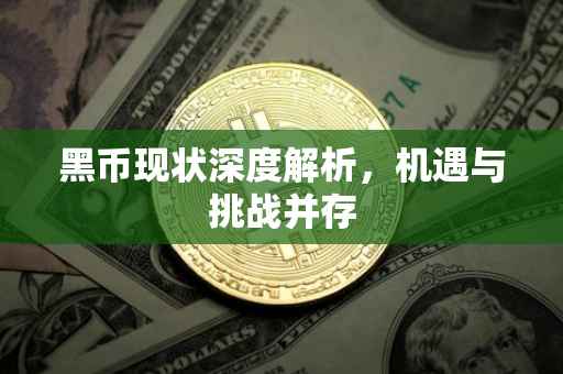 黑币现状深度解析，机遇与挑战并存