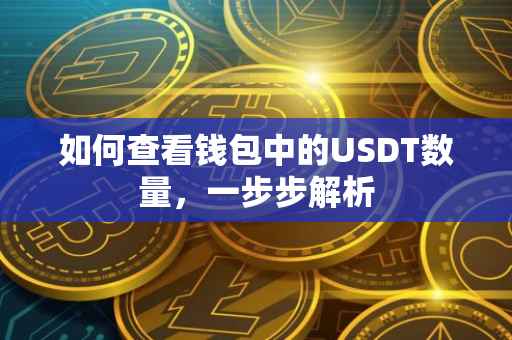 如何查看钱包中的USDT数量，一步步解析