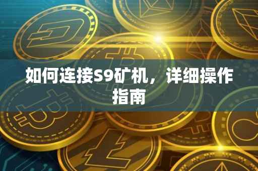如何连接S9矿机，详细操作指南