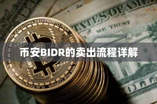 币安BIDR的卖出流程详解